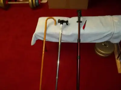 canes walking sticks, View more