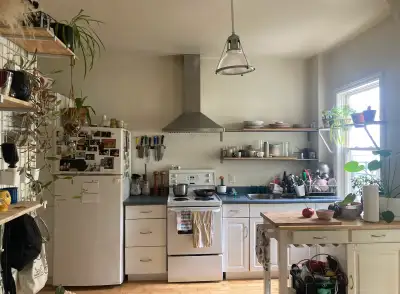 2 Bedroom Flat - North End Available September 1st