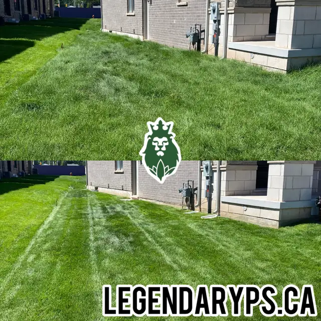 Grass Cutting Starting as low as $40 Weekly62865710227201121