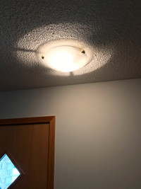 Halogen Ceiling Light Fixture