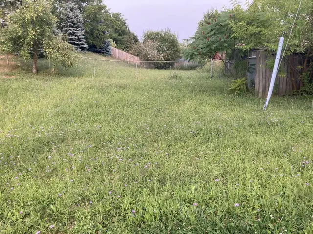 Lawn Mowing and Maintenance Services63611969560579122