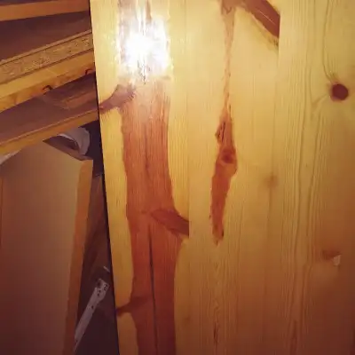 New, still in plastic wrap. One has a some darker pattern, I might have some longer ones too, howeve...