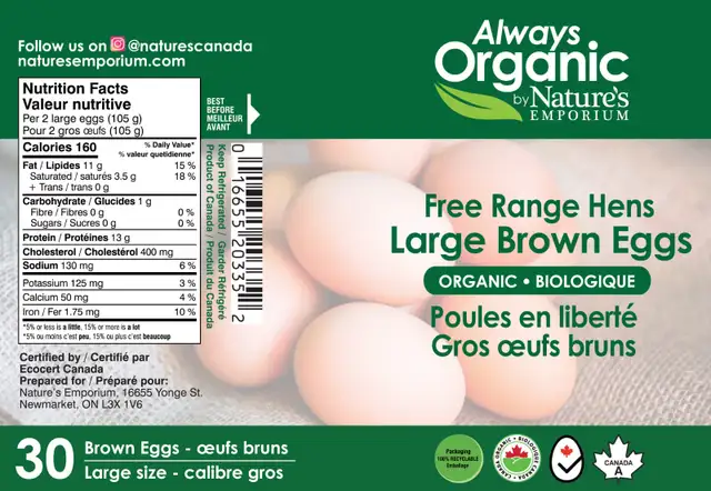 High Quality Web Design / WordPress / Mobile Optimized64960031157123124