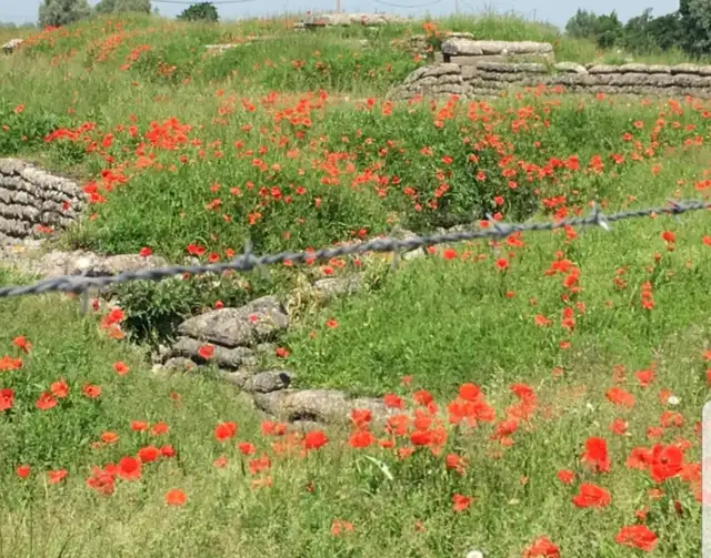 Remembrance Day...