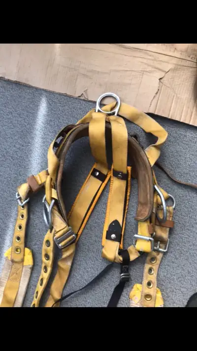Tree climbing belts, View more