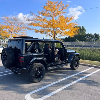 Jeep Wrangler High Altitude Sahara with Sky One-Touch power top