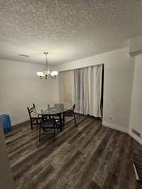 Room for rent in kitchener