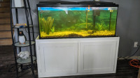 55 Gallon Aquarium, lid with lights, heater, filter and stand