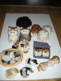 Stuffed cats