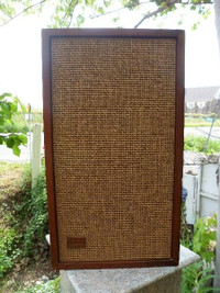 The Leyton ElectroVoice Speaker Vintage Wood EV