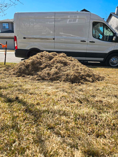 Lawn Aeration and Dethatching