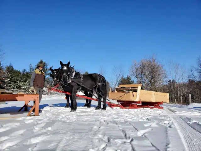 Gentle Giants Sleigh and Wagon Rides in Activities & Groups in Peterborough - Image 3
