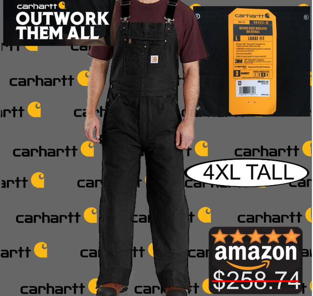 NEW * Carhartt Loose Fit Washed Duck Insulated Bib Overall in Men's in Fredericton
