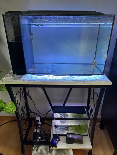 evo fluval 13.5 aquarium , View more