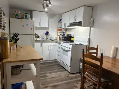 1 Bedroom Basement Apartment Trinity Bellwoods