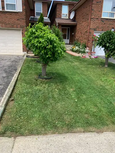 lawn mowing and weed wacking, View more