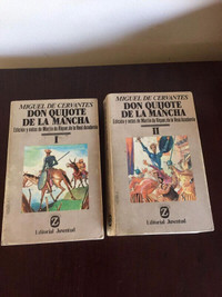 DON QUIXOTE DE LA MANCHA IN SPANISH