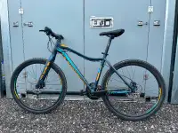 Adult Giant Liv mountain bike