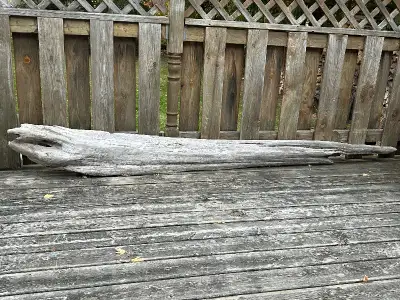 Drift wood. 9 feet long. Decorative. Mantle. Natural. Rustic., View more