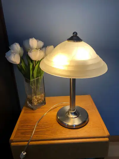 Satin Steel Lamp with Frosted Glass Shade, View more