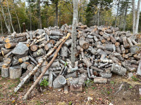 Softwood Firewood Blocked Up but Not Split