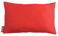 Coleman Fold N' Go Pillows