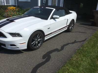 mustang a vendre