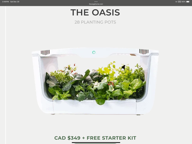 Vegehome The Oasis Smart Garden in Plants, Fertilizer & Soil in City of Montréal - Image 3