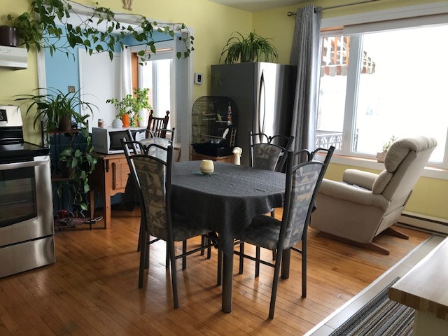 Appartement à louer 4 et demi — photo 2