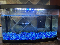 10 gallons fish tank & Essential accessories