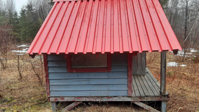Chicken house / dog house with metal roof  in Accessories in Moncton - Image 2