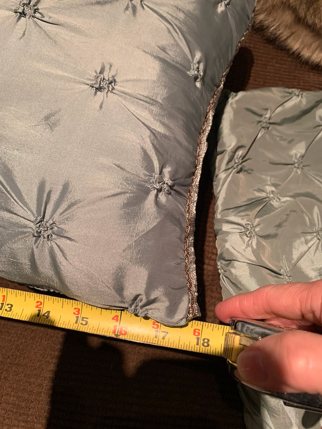 1 throw pillow and  2 pillow covers in Other in Kitchener / Waterloo - Image 4