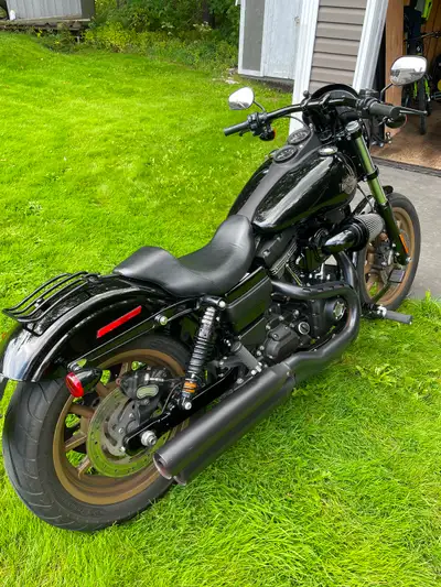 Lowrider Sport 110 motor. Forward foot controls. Comes with passenger pegs, quick mounting hardware...