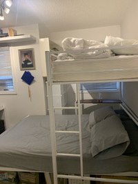 Bunk Bed Single over Double