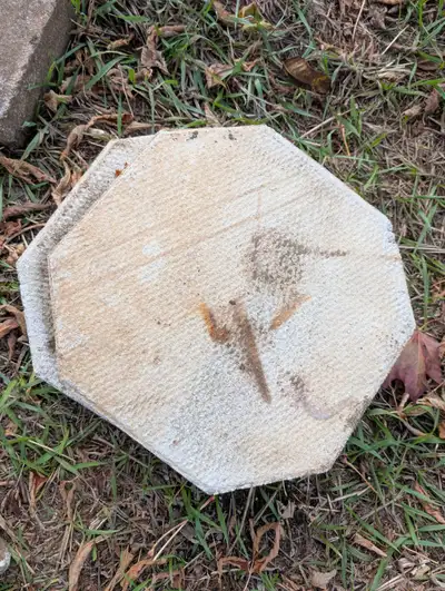 Cement Slab/Pavers, View more