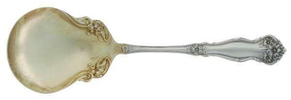 SUGAR SPOON "ARBUTUS" (LOCATION PORT DOVER) in Kitchen & Dining Wares in St. Catharines