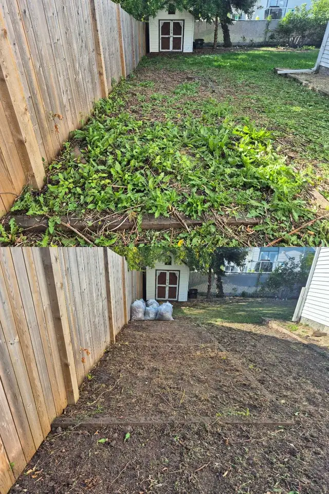 Sod installation460148142360514566