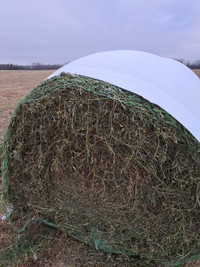 3rd cut alfalfa hay bales