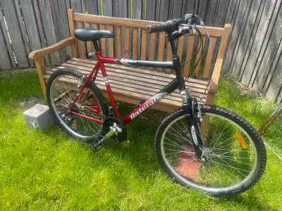 Raleigh Bike, View more