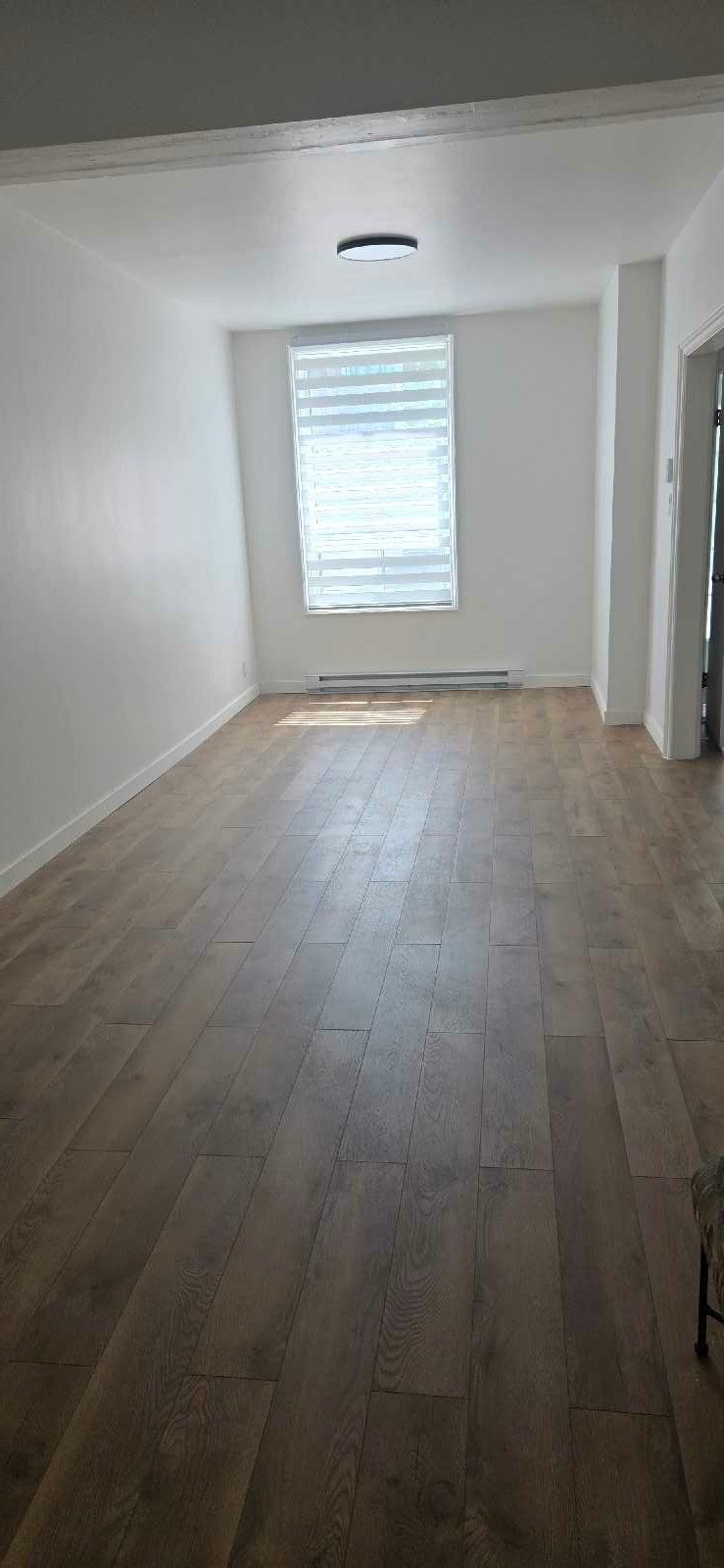 7361 R. Saint-Denis — photo 2