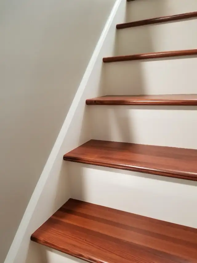 Budget Painting Services