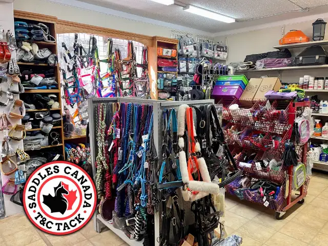 Western & English Saddles & Tack in Equestrian & Livestock Accessories in Regina - Image 7