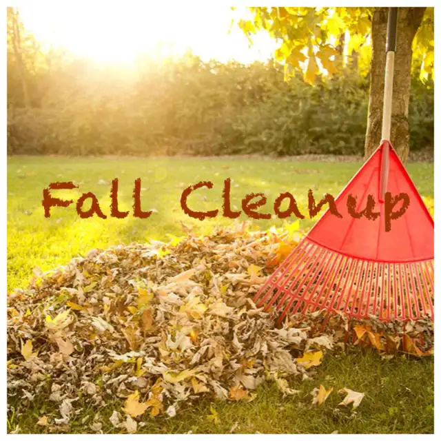 FALL CLEANUP • OVERGROWN YARD