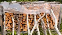 Spruce Firewood -quality seasoned- cut in 2022