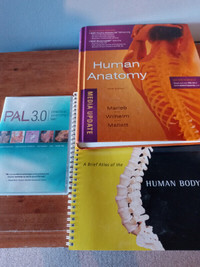 Textbooks - Anatomy