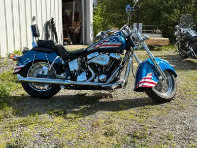 This is a 100th anniversary & 9/11 special edition Indian. Has been sitting & needs some work. There...