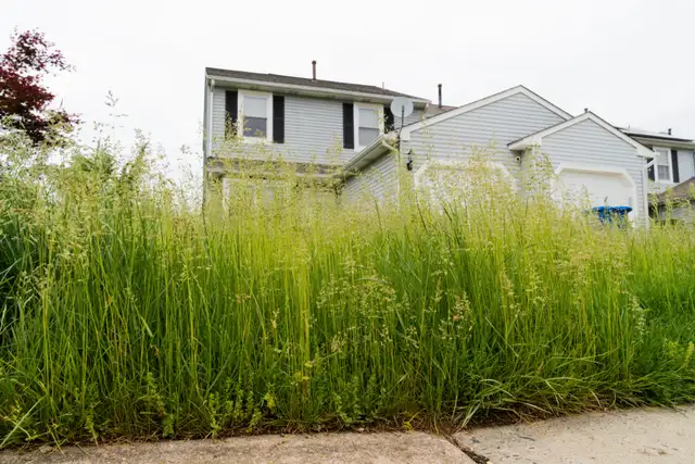 Grass Cutting-Spring Cleaning-Fertilizer-Seeds-Starting from $49628657090118421227