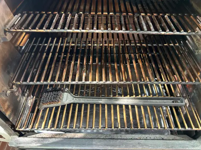 Trager Timberline 85062863274117761124