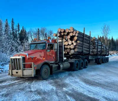 looking for log truck drivers, View more