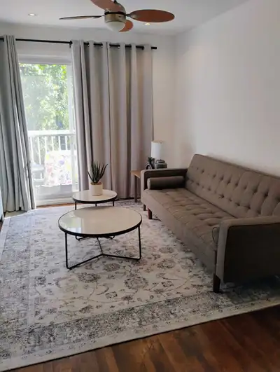 Disponible maintenant ! Bel appartement 3½ entièrement meublé et récemment rénové (balcon inclus) au...